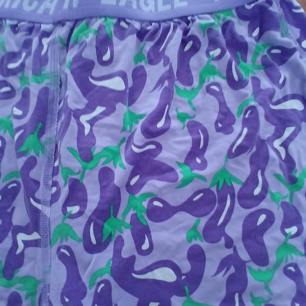 American Eagle Outfitters Purple and Green Boxers